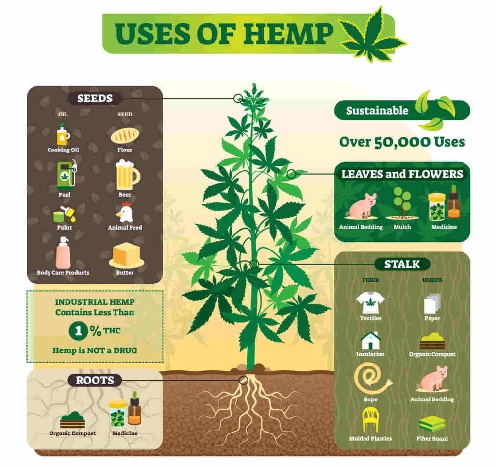 Hemp Project